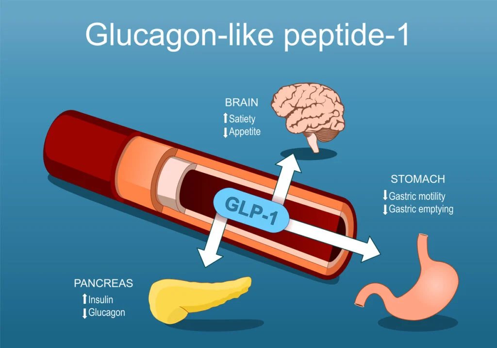 GLP-1 agonists in the literature: semaglutide, tirzepatide, cagrilintide and retatrutide